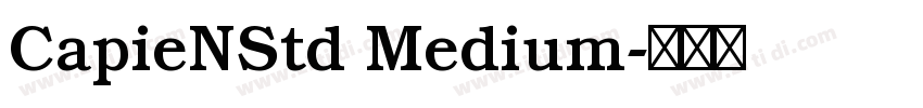 CapieNStd Medium字体转换